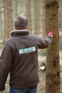 foret livradois